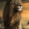 prakash_mvpa