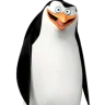RiCo