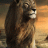 prakash_mvpa